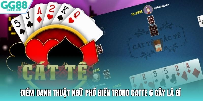 Điểm danh thuật ngữ phổ biến trong Catte 6 cây là gì